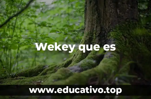 Wekey que es