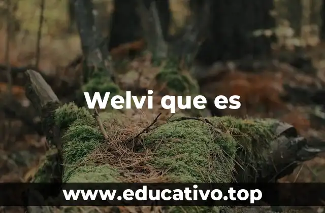 Welvi que es
