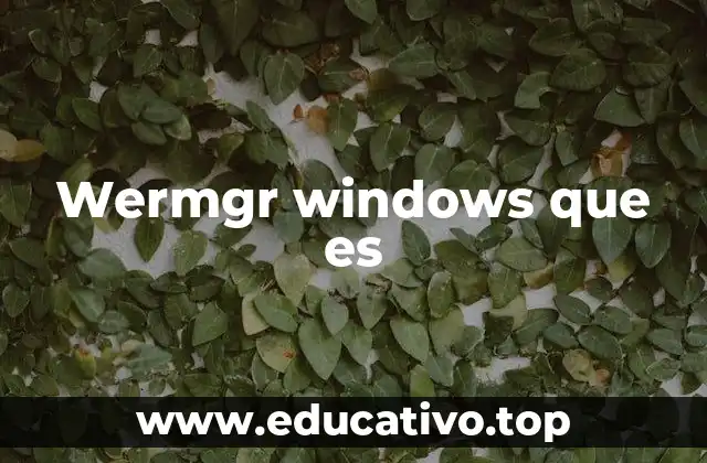 Wermgr windows que es