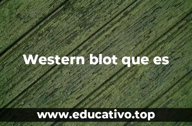Western blot que es