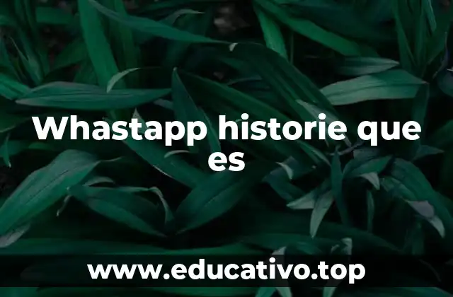 Whastapp historie que es