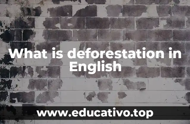 What is deforestation in English