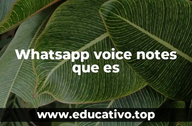 Whatsapp voice notes que es