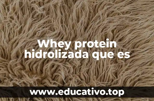 Whey protein hidrolizada que es