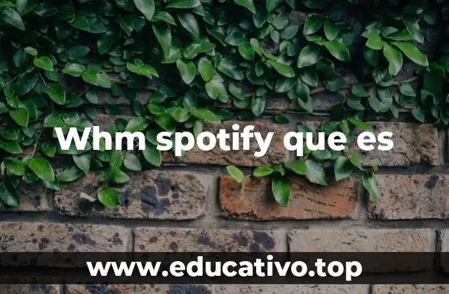 Whm spotify que es
