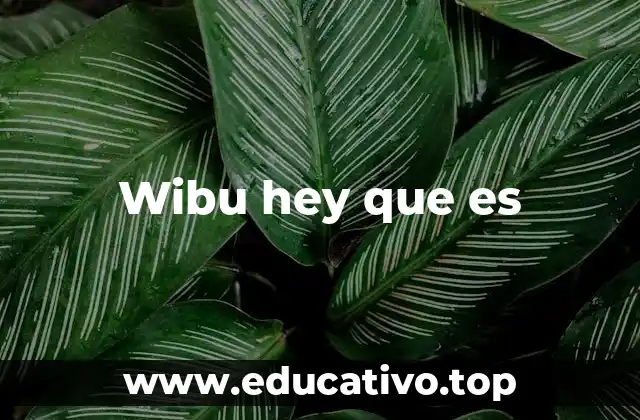 El lenguaje de internet y sus expresiones virales