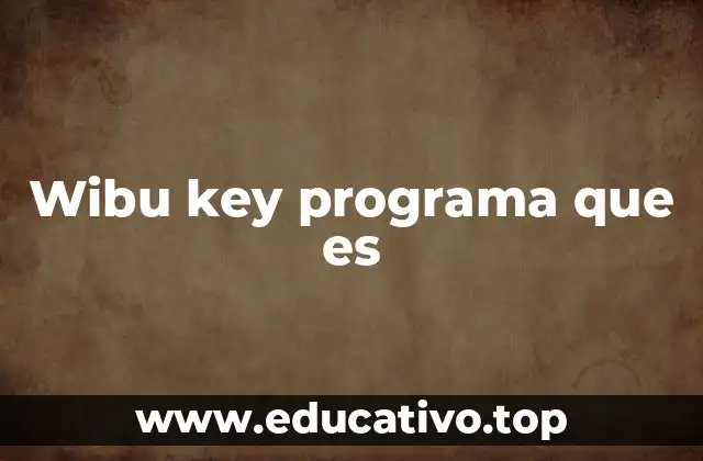 Wibu key programa que es