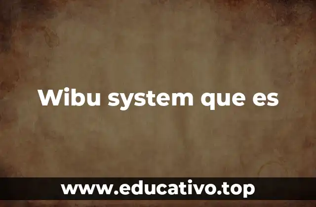 Wibu system que es