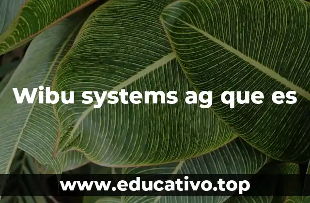 Wibu systems ag que es