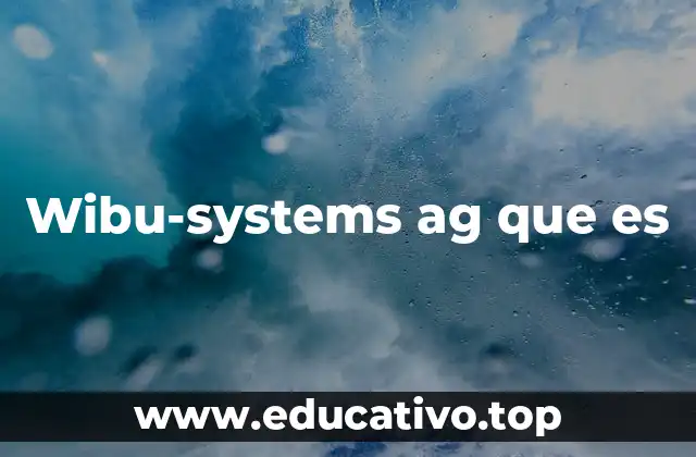 El rol de wibu-systems en la protección digital