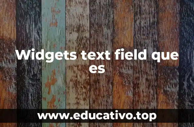 Widgets text field que es