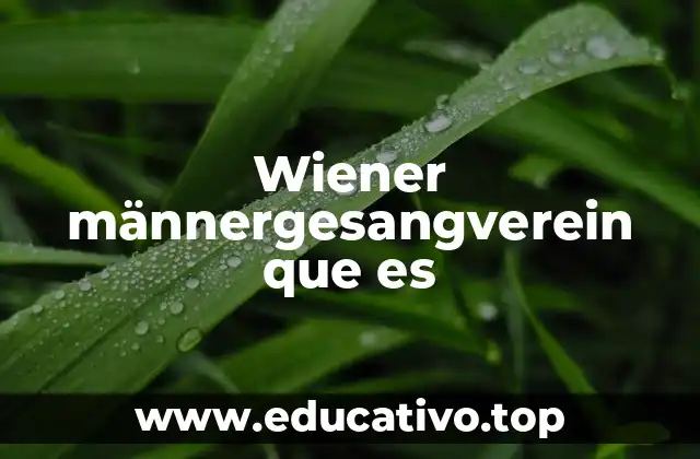 Wiener männergesangverein que es