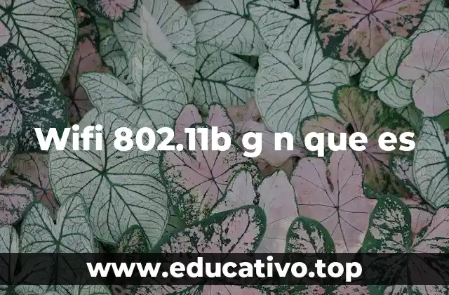 Wifi 802.11b g n que es
