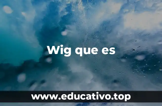 Wig que es