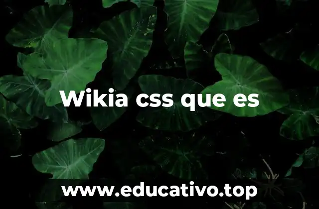 Wikia css que es