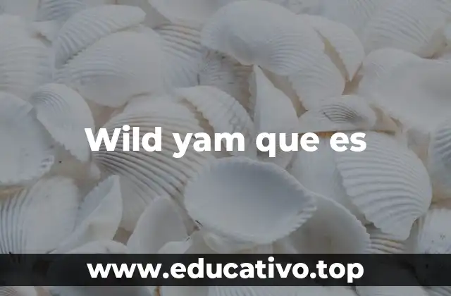 Wild yam que es