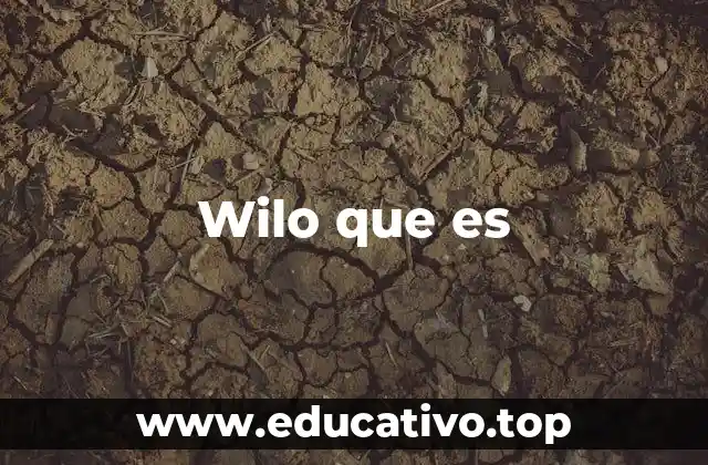 Wilo que es