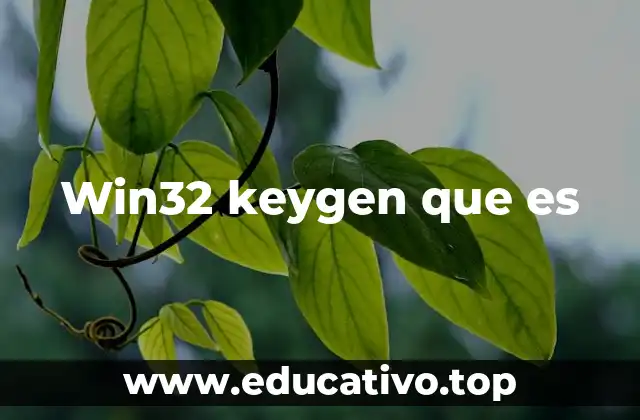 Win32 keygen que es