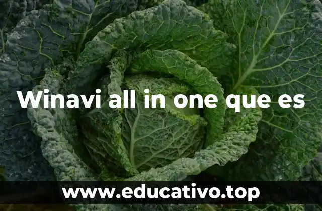 Winavi all in one que es
