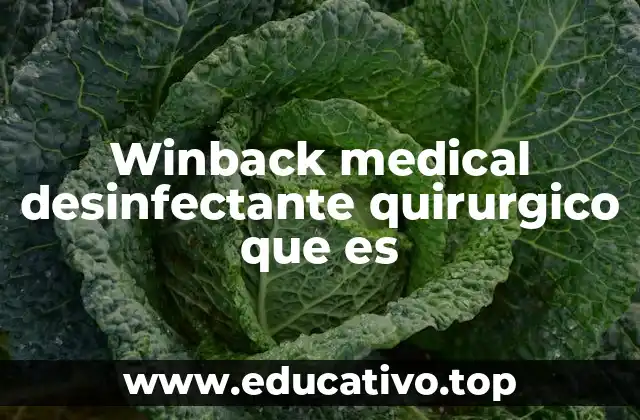 Winback medical desinfectante quirurgico que es
