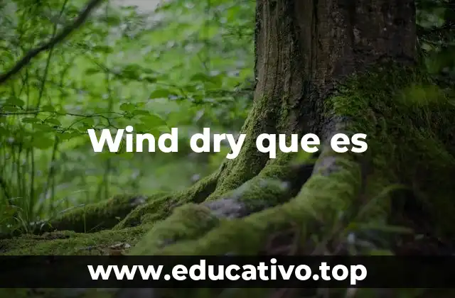 Wind dry que es
