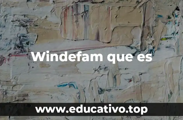 Windefam que es