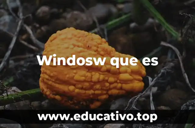 Windosw que es