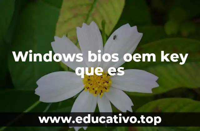 Windows bios oem key que es