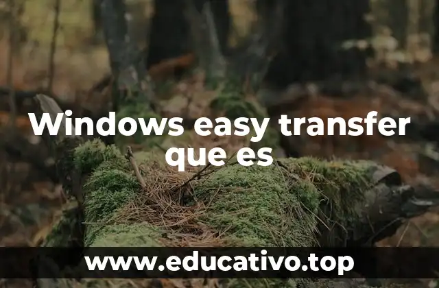 Windows easy transfer que es