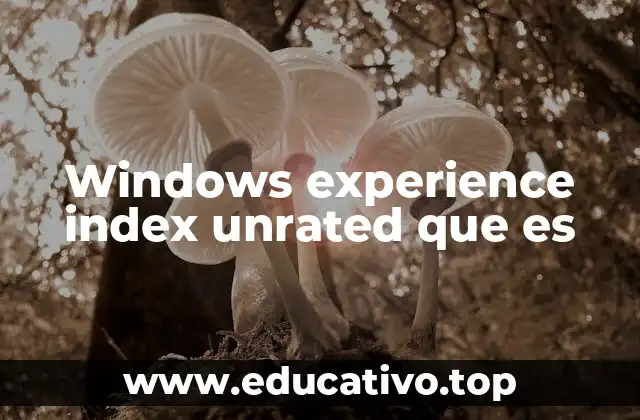 Windows experience index unrated que es