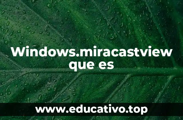 Windows.miracastview que es