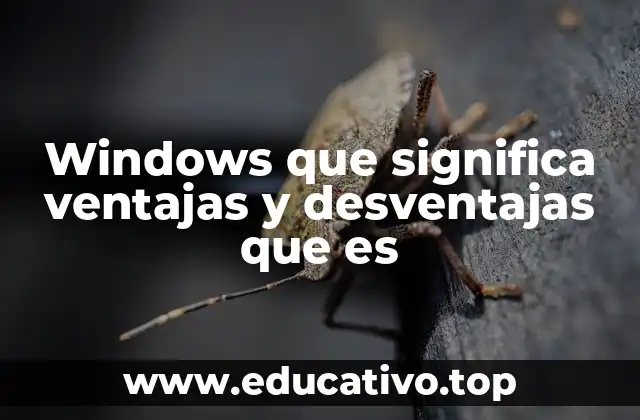 Windows que significa ventajas y desventajas que es