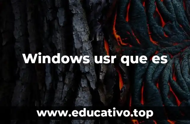 Windows usr que es