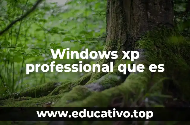 Windows xp professional que es
