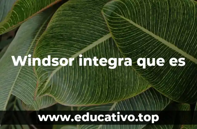 Windsor integra que es