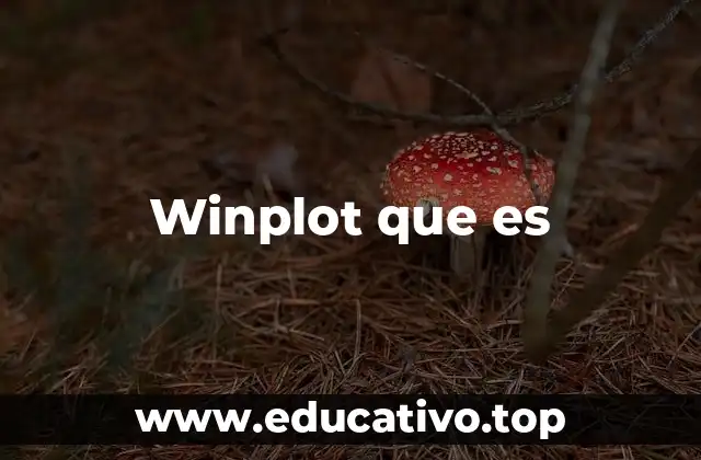 Winplot que es