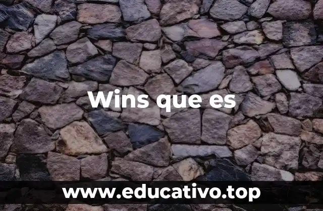 Wins que es