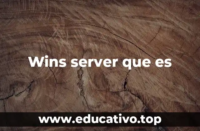 Wins server que es