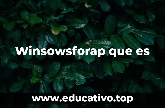 Winsowsforap que es
