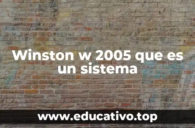 Funciones y características del Winston W 2005