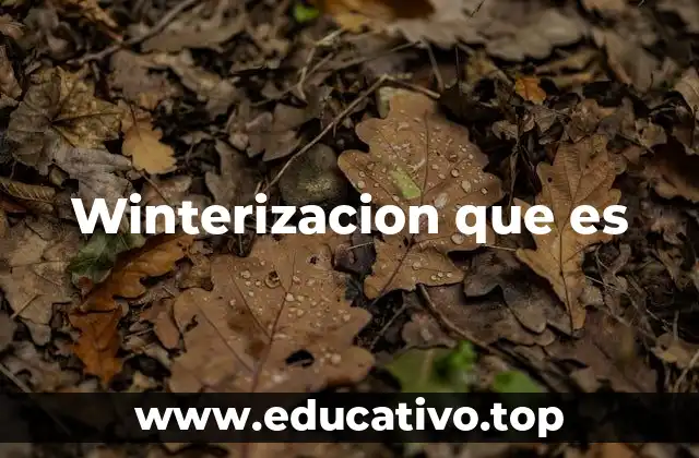Winterizacion que es