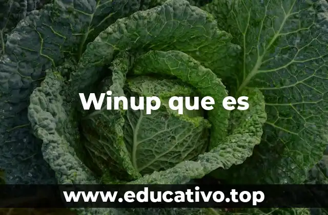 Winup que es