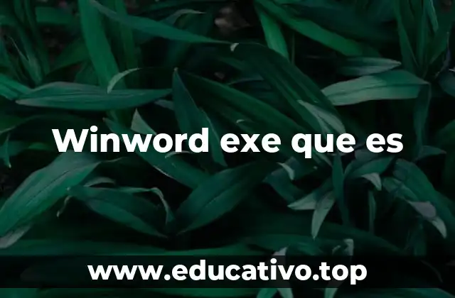 Winword exe que es