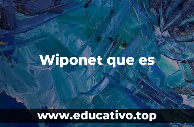 Wiponet que es