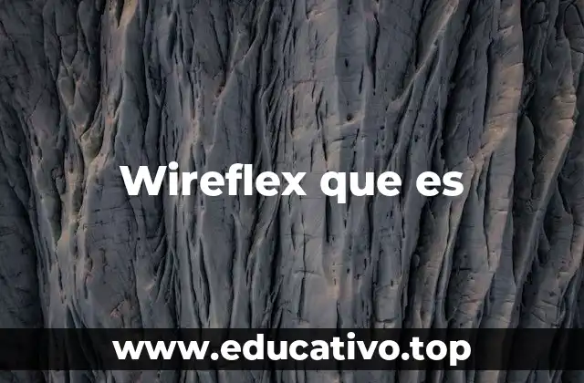 Wireflex que es