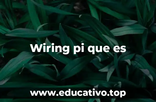 La importancia de la programación de pines GPIO en Raspberry Pi