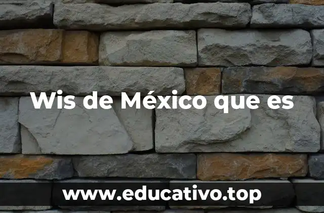Wis de México que es