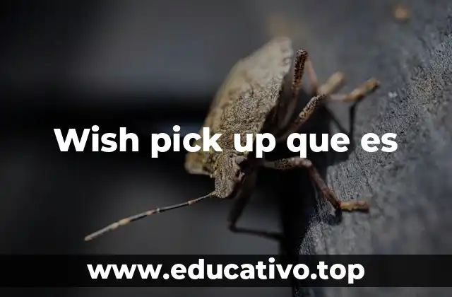 Wish pick up que es