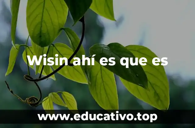 Wisin ahí es que es