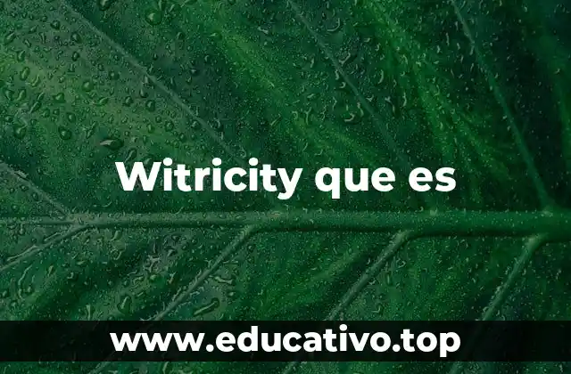 Witricity que es